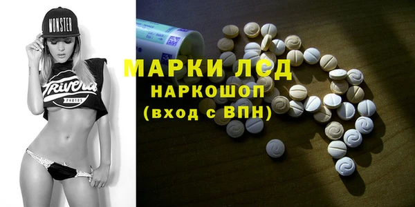 шишки Лабытнанги