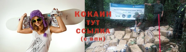 шишки Лабытнанги