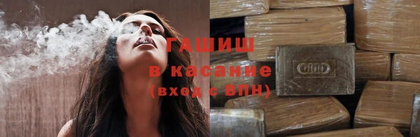 шишки Лабытнанги