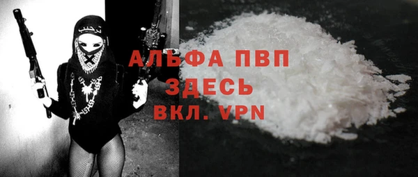 шишки Лабытнанги