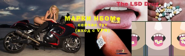 гидропоника Ладушкин