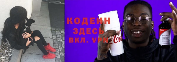 шишки Лабытнанги
