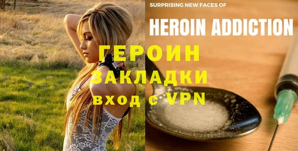 шишки Лабытнанги