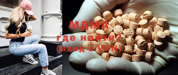 шишки Лабытнанги