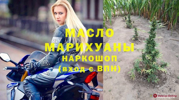 шишки Лабытнанги