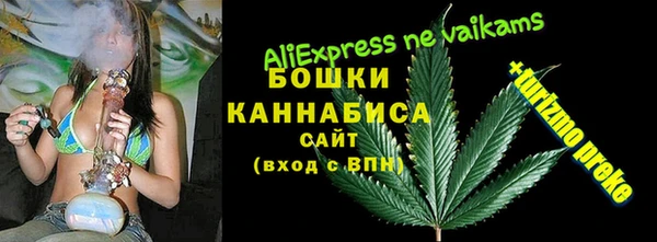 шишки Лабытнанги