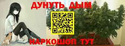 индика Апрелевка