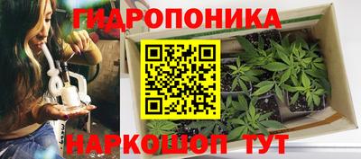 индика Апрелевка