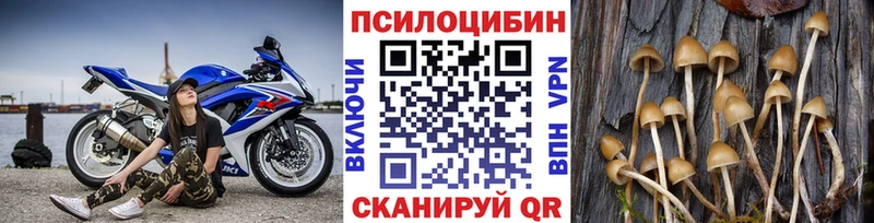 кракен зеркало  Воронеж  Галлюциногенные грибы GOLDEN TEACHER  купить наркотик 