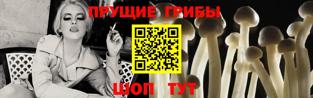 Галлюциногенные грибы ЛСД Воронеж